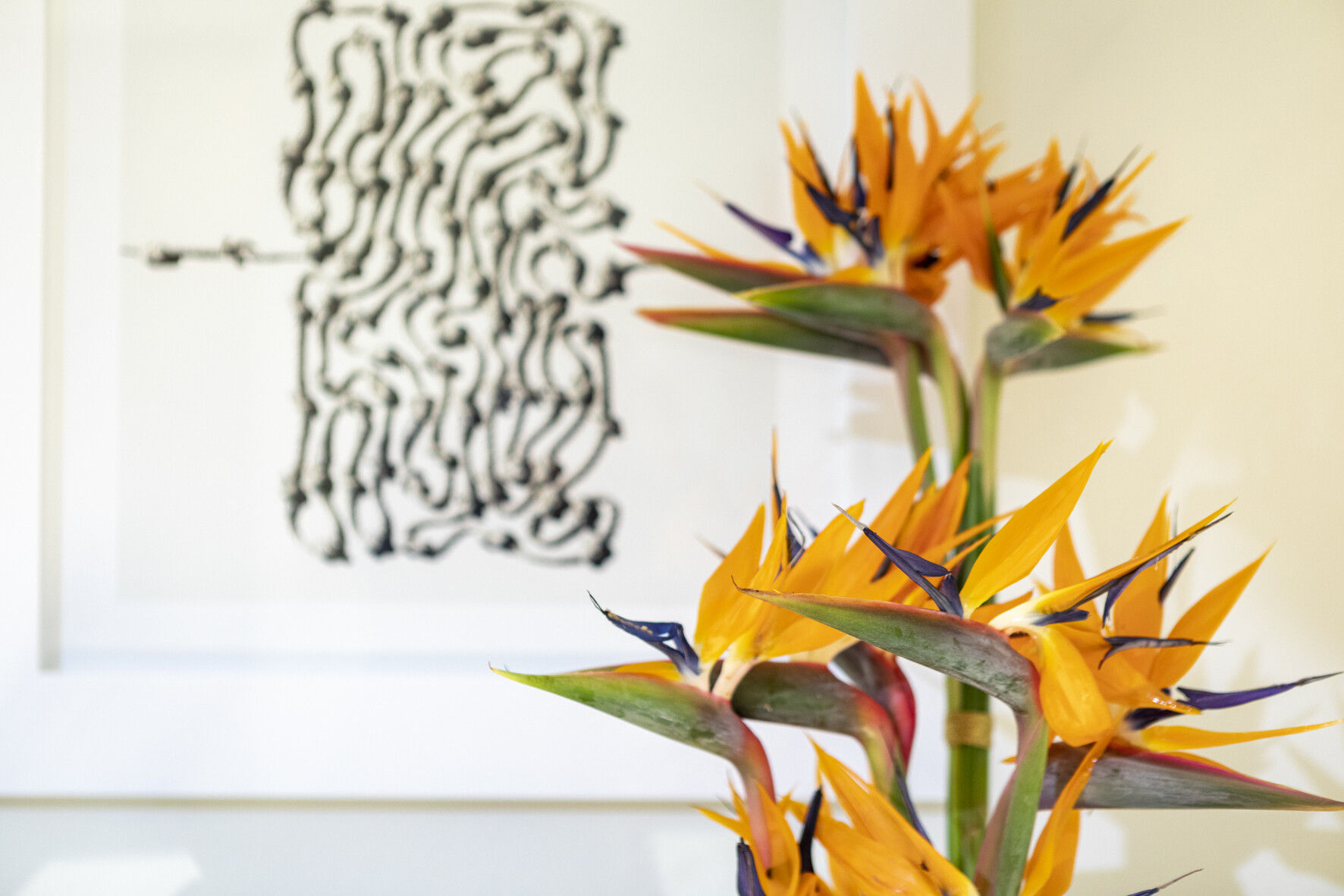 Press Day BGCom_2021 (103)